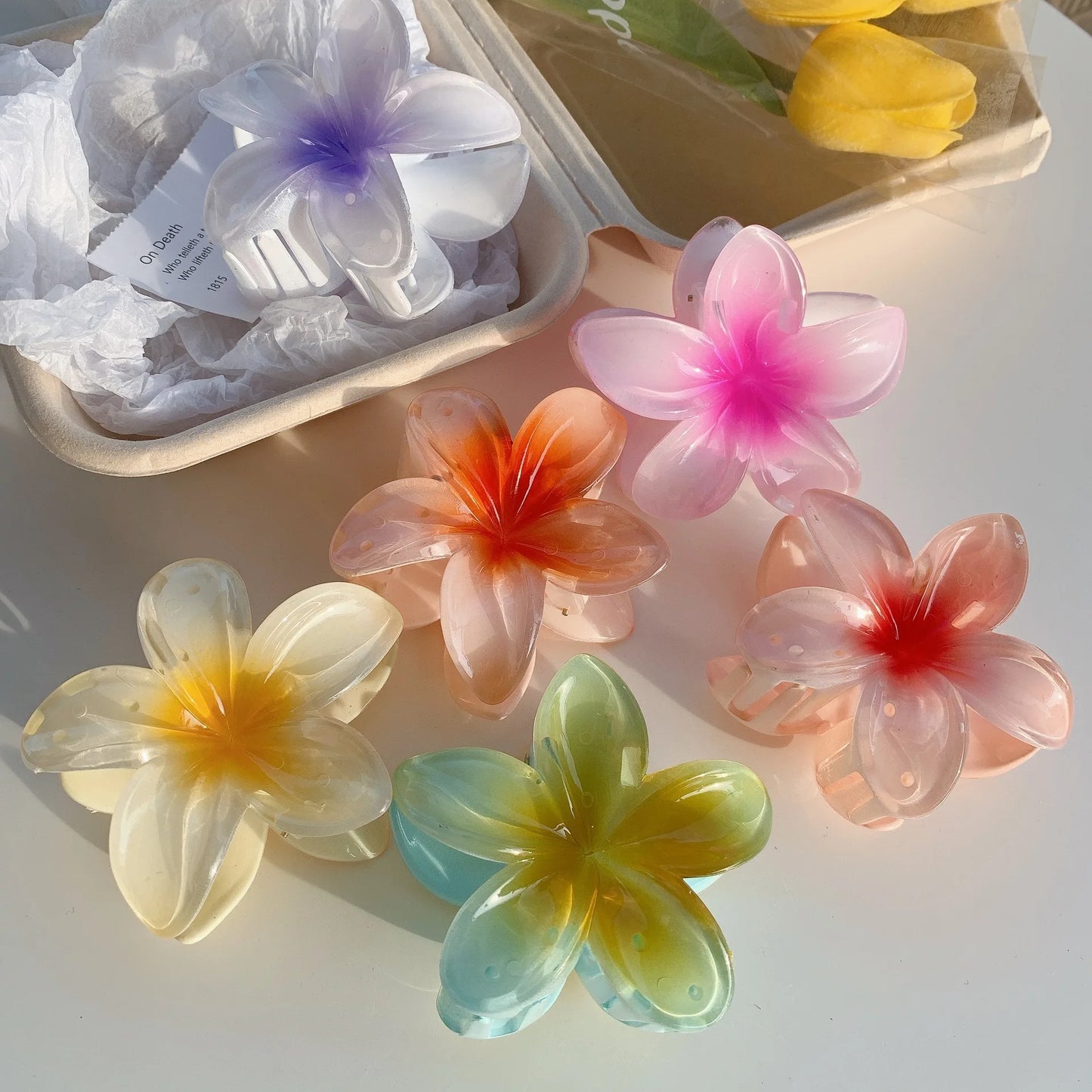 Grampos de Cabelo Havaianos Estilo de Praia